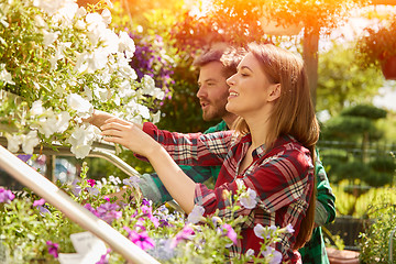 Image showing Professional gardeners with plants