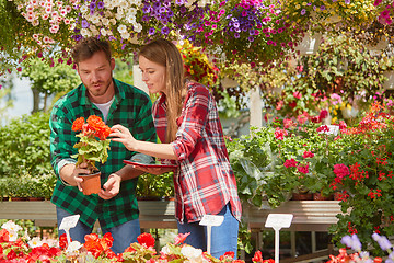 Image showing People watching flowers in garden