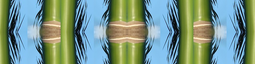 Image showing leaf collage green