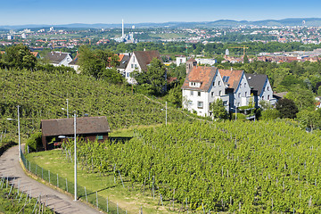 Image showing vineyard Stuttgart city