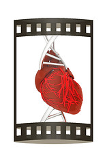 Image showing DNA and heart. 3d illustration. The film strip