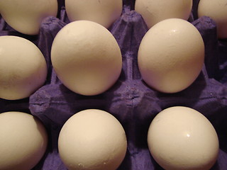 Image showing eggs