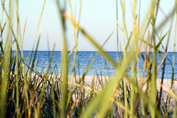 Image showing The dark blue sea which is seen through a grass