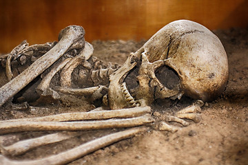 Image showing old human bones