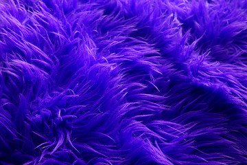Image showing blue fur texture