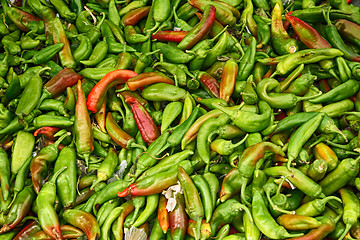 Image showing green pepper background