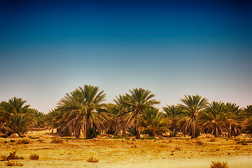 Image showing tunisia sand country 