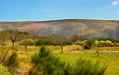 Image showing Portuguese Rustic Landscape