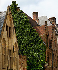 Image showing Medieval Houses in Bruges