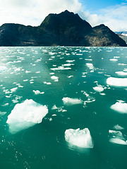 Image showing Floating Icebergs Pacific Ocean Aialik Bay Alaska North America