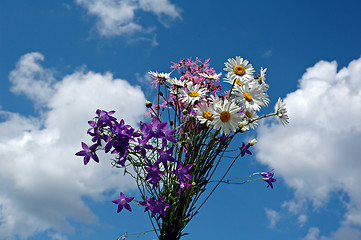 Image showing Summer bouquet