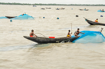Image showing Fishing in Bangladesh