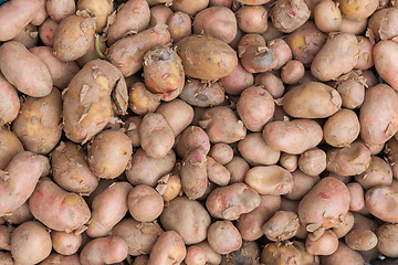 Image showing Potatoes