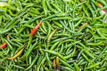 Image showing Chili peppers