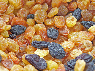 Image showing Different raisins