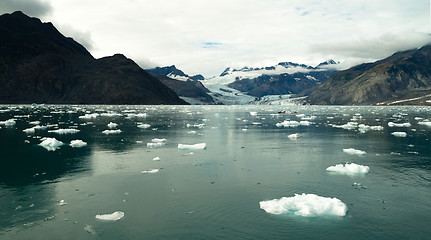 Image showing Glacial Flow Kenai Fjords Alaska Harding Ice Field Aialik Glacie