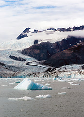 Image showing Floating Icebergs Pacific Ocean Aialik Bay Alaska North America