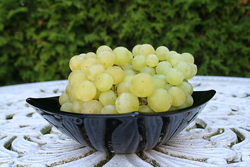 Image showing Grapes