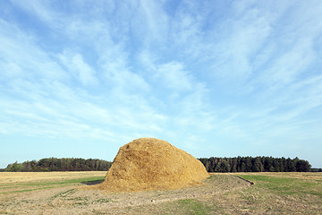 Image showing stack of straw in the field