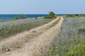 Image showing Beautiful coastal gravel road