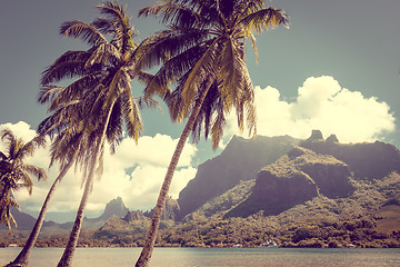 Image showing Cook’s Bay and lagoon in Moorea Island