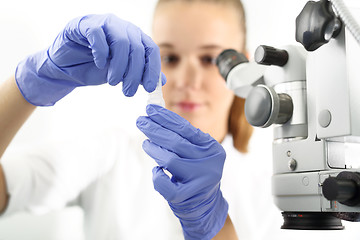 Image showing Laboratory, lab technician prepares a sample 