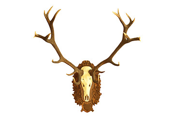 Image showing large hunting trophy of red deer stag