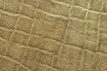 Image showing textured detail of african elephant pelt