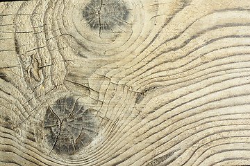 Image showing detailed surface of fir plank