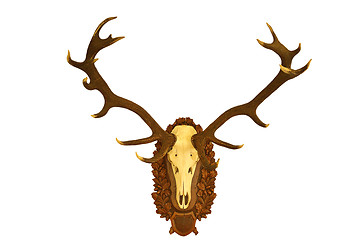 Image showing beautiful red deer hunting trophy over white 1