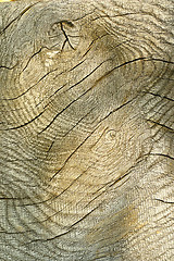 Image showing texture of wooden plank for your design