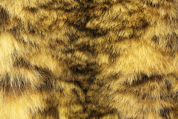 Image showing colorful texture of snow leopard fur