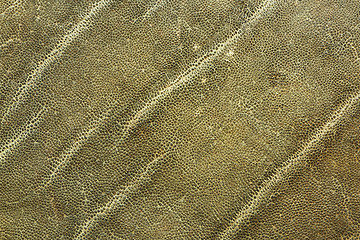 Image showing detailed image of african elephant leather