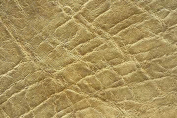 Image showing interesting textured elephant skin