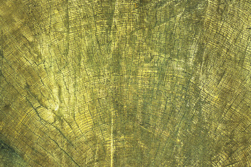 Image showing abstract image of annual rings on wood