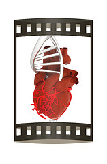 Image showing DNA and heart. 3d illustration. The film strip