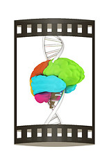 Image showing Brain and dna. 3d illustration. The film strip