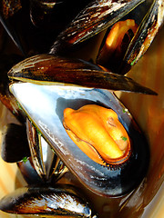 Image showing Cooked mussels