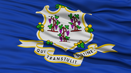 Image showing Closeup Connecticut Flag, USA state