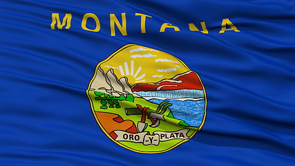 Image showing Closeup Montana Flag, USA state