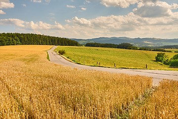 Image showing Road through farmlands