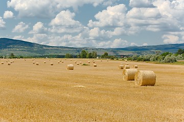 Image showing Agricultural field with bales