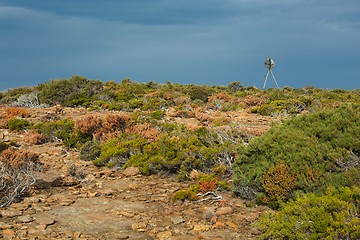 Image showing Landscape in Tasmania