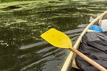 Image showing Canoing on a river