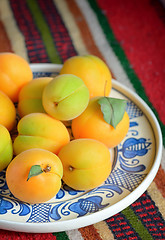 Image showing Ripe apricots fruits
