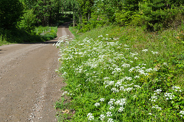 Image showing Beautiful roadside