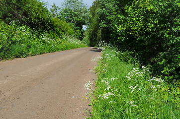 Image showing Gravel road surrounded by green colors