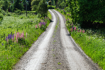 Image showing Beautiful winding gravel road