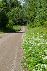 Image showing Beautiful country road at summer season