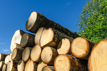 Image showing Woodstack by a blue sky